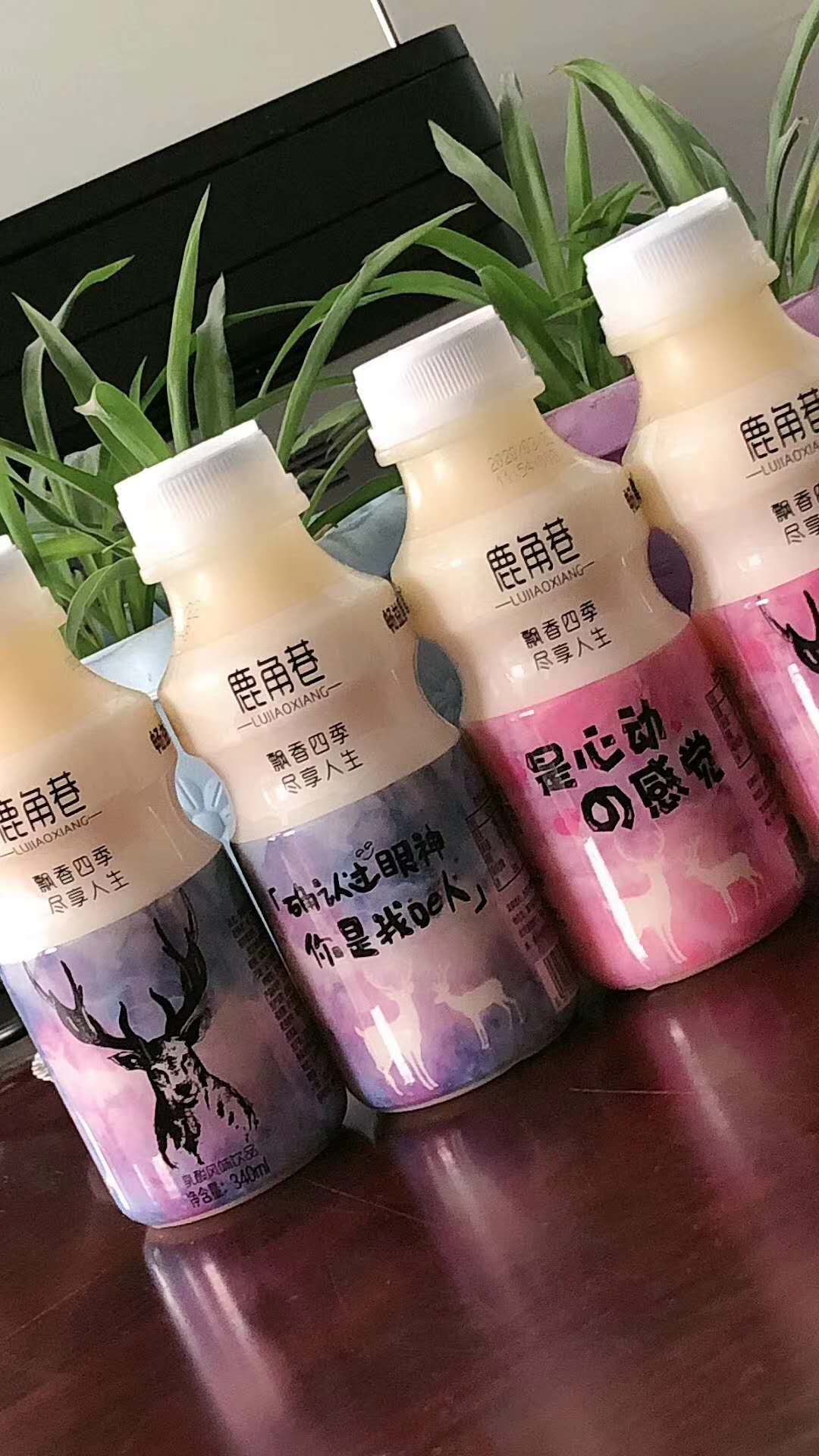 鹿角巷